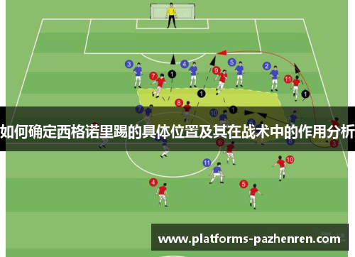 如何确定西格诺里踢的具体位置及其在战术中的作用分析 如何确定西格诺里踢的具体位置及其在战术中的作用分析