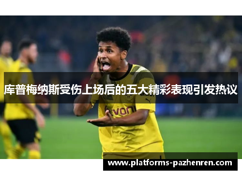 库普梅纳斯受伤上场后的五大精彩表现引发热议