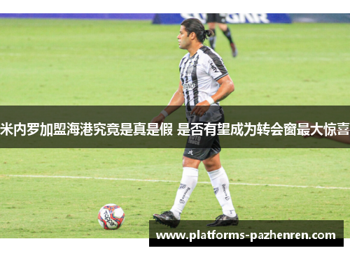 米内罗加盟海港究竟是真是假 是否有望成为转会窗最大惊喜 米内罗加盟海港究竟是真是假 是否有望成为转会窗最大惊喜