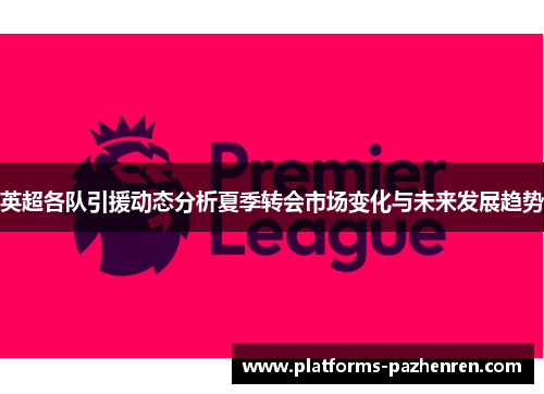 英超各队引援动态分析夏季转会市场变化与未来发展趋势 英超各队引援动态分析夏季转会市场变化与未来发展趋势