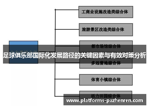 足球俱乐部国际化发展路径的关键因素与有效对策分析