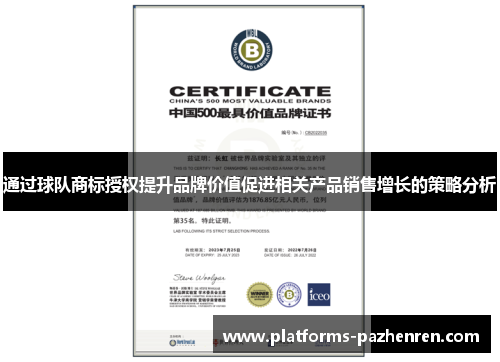 通过球队商标授权提升品牌价值促进相关产品销售增长的策略分析