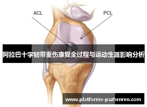 阿拉巴十字韧带重伤康复全过程与运动生涯影响分析